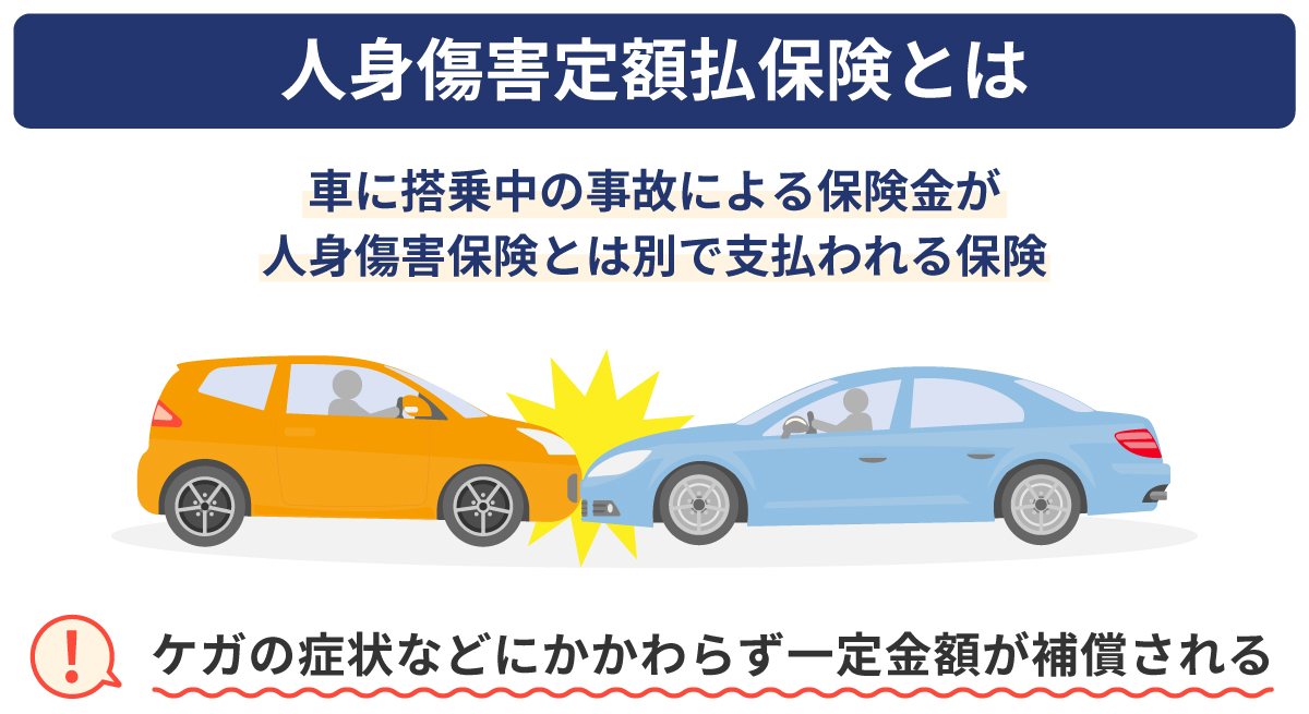 �l�g���Q��z���ی��Ƃ�