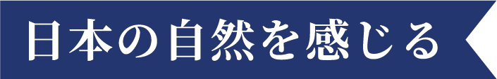 日本の自然を感じる